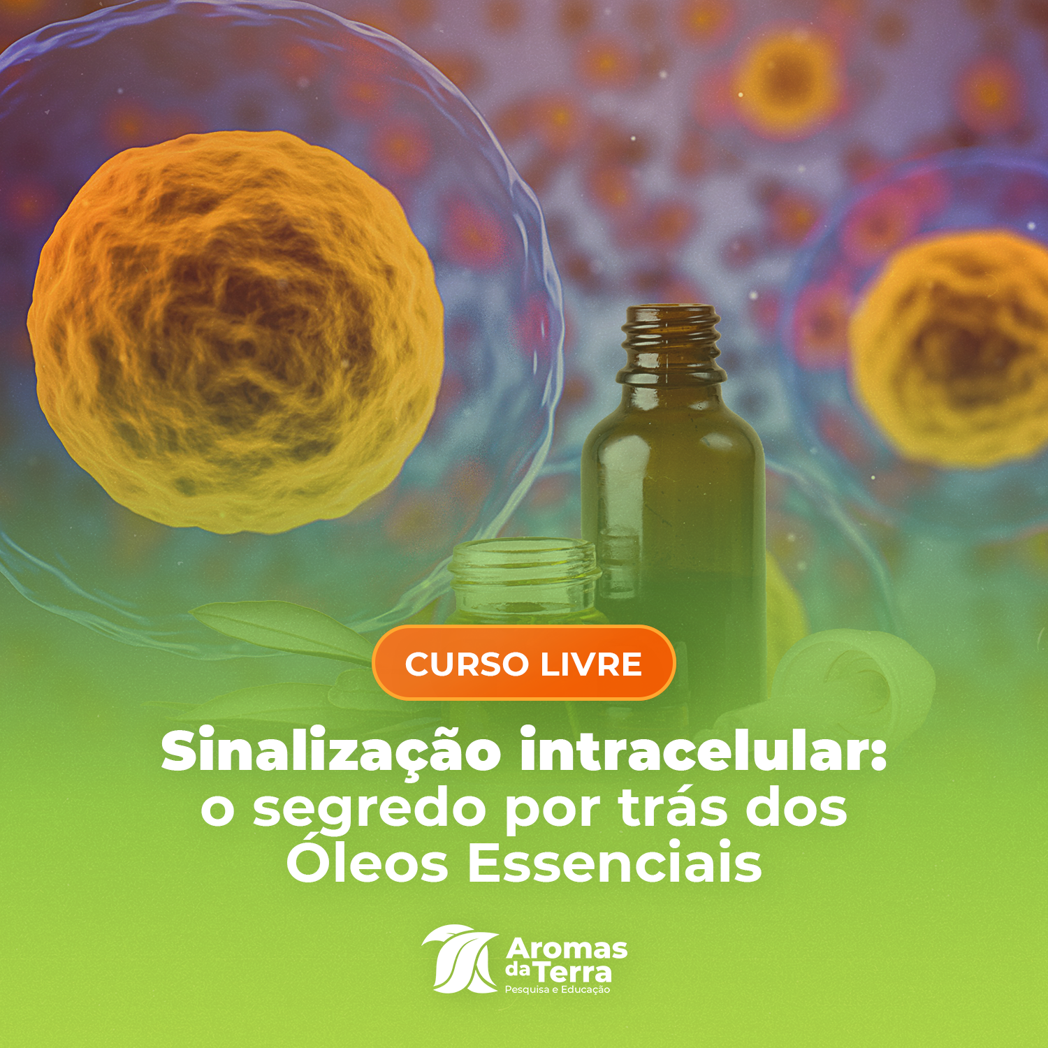 Sinalização Intracelular: o segredo por trás dos óleos essenciais